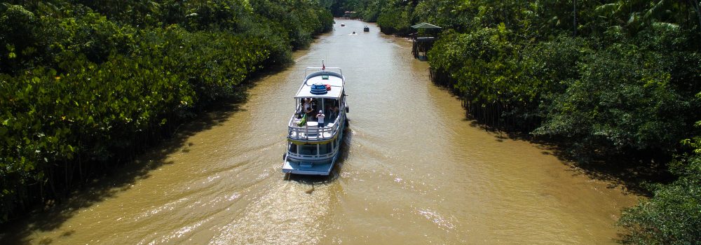 Amazon Cruise Ship