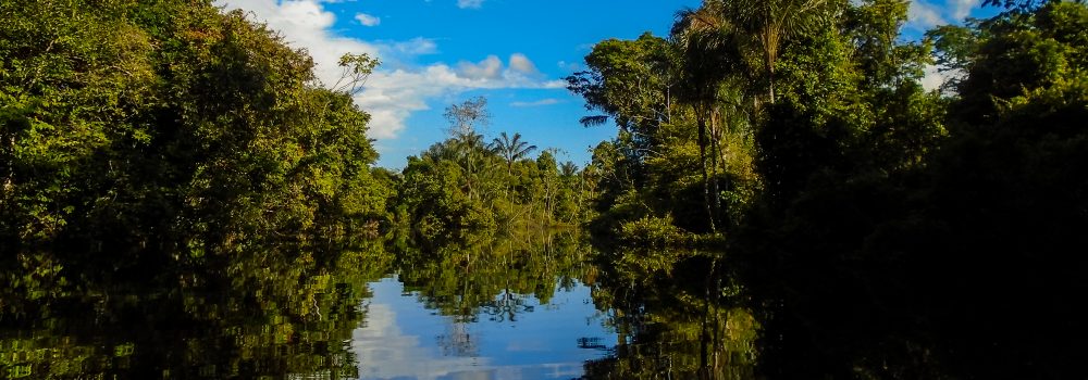 One of the tributaries of the Amzon river in Brazil. 