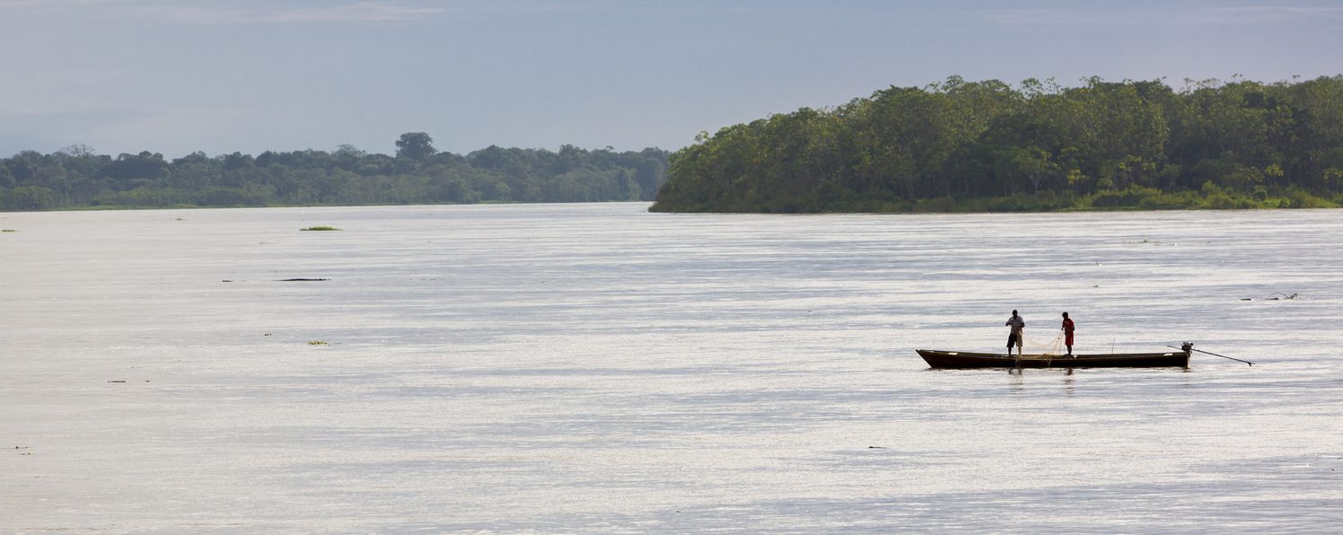 The Amazon river. 