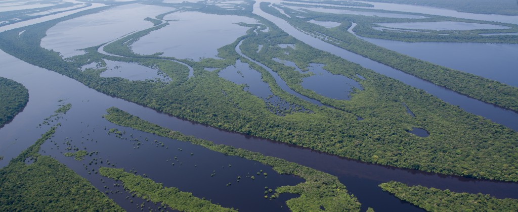 Anavilhanas archipelago, the largest freshwater archipelago in the world. 