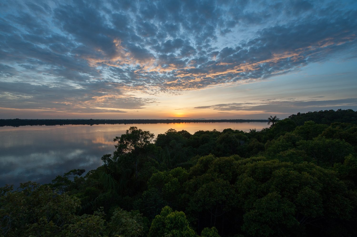 Sunset over the Anavilhanas archipelago. 