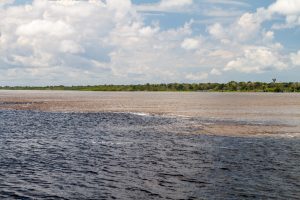 The majestic meeting of the River Solimoes and the Rio Negro. 
