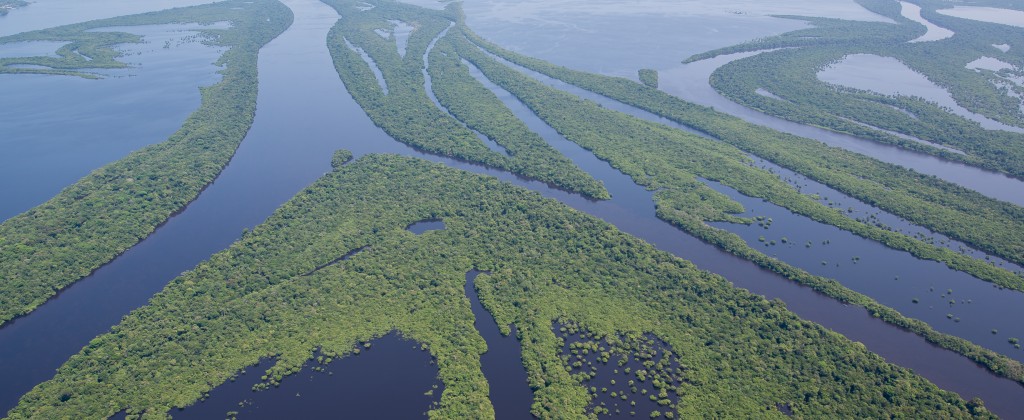 The Amazon river and the Rio Negro river running through the Anavihanas, one of the stops on the Rio Negro cruise. 