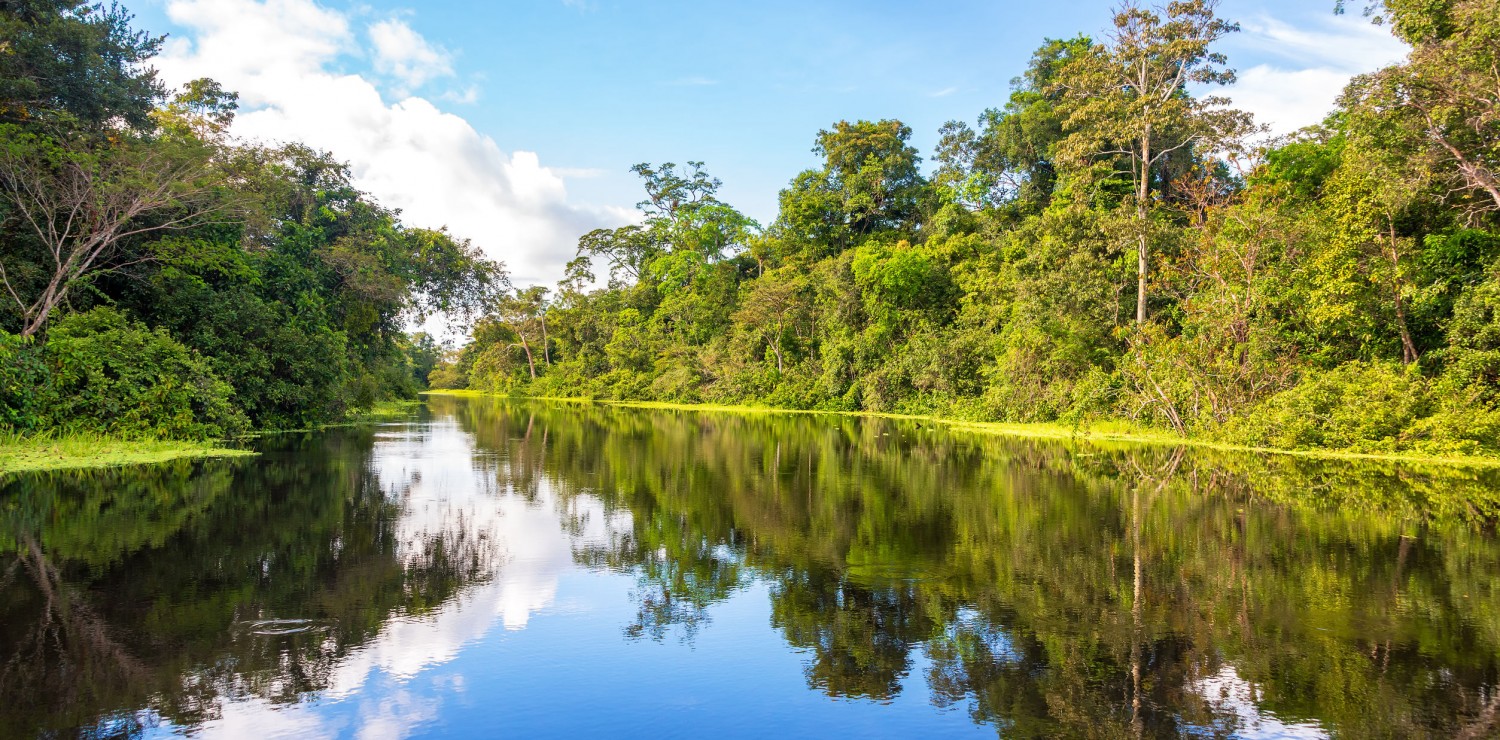 CroisièŠre Amazonie