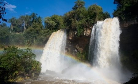 Looking up at the Argentinian side of Iguaçu falls.