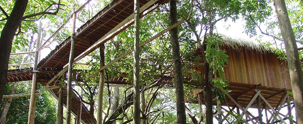 Looking up at on of the walkways of the Juma lodge, the jungle lodge built on stilts. 