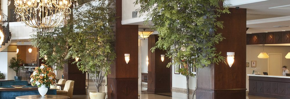 View of the reception of hotel Bourbon and Spa. 