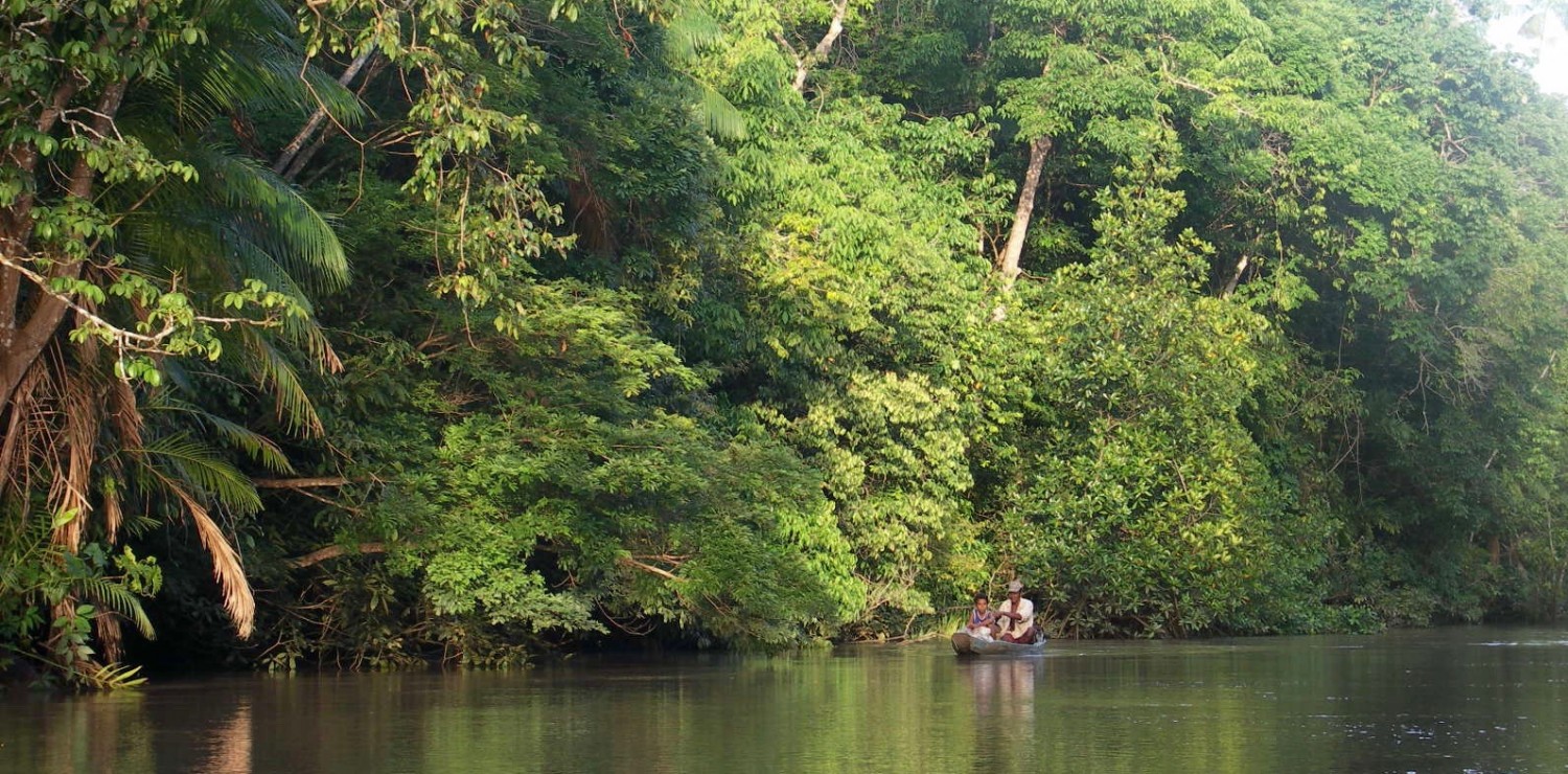 Marajo barque descendant la rivière
