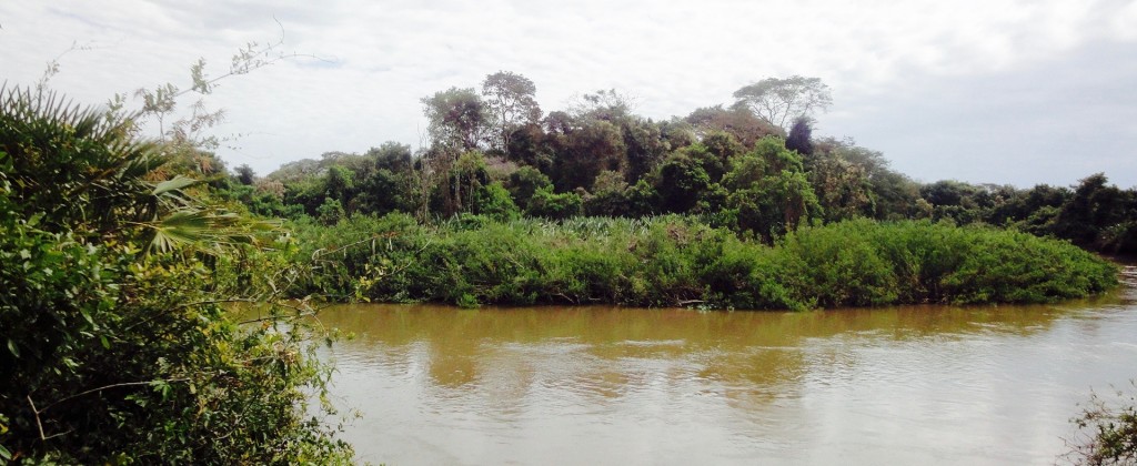 A river in South Pantanal. 