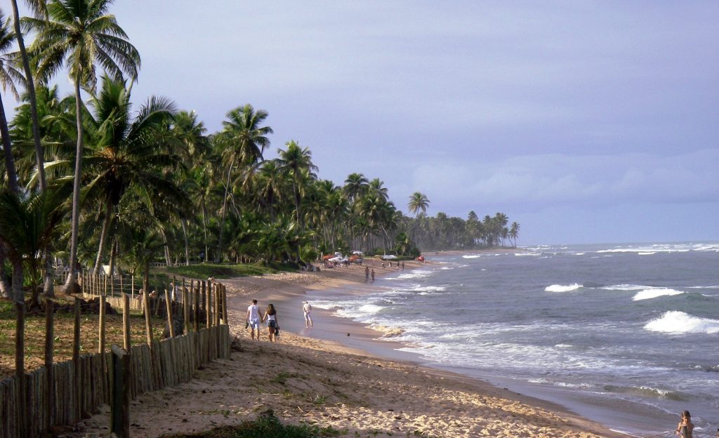 A couple walk hand in hand down the beach at praia do forte. 