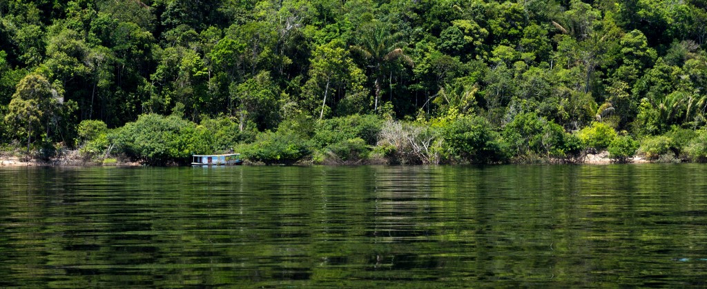 The lush green forest juts out over the banks of the Rio Negro in Amazonas.