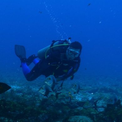 un plongeur Fernando de Noronha