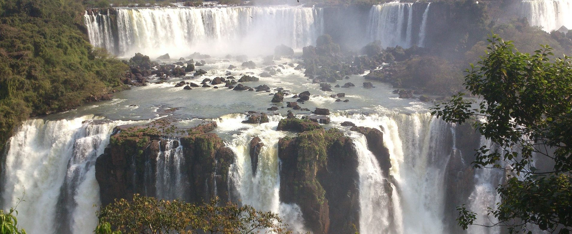 Some of the wild and beautiful vegetation that thrives around the falls. 