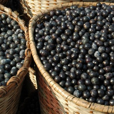 Two baskets of Acai at the ver-o-peso market.