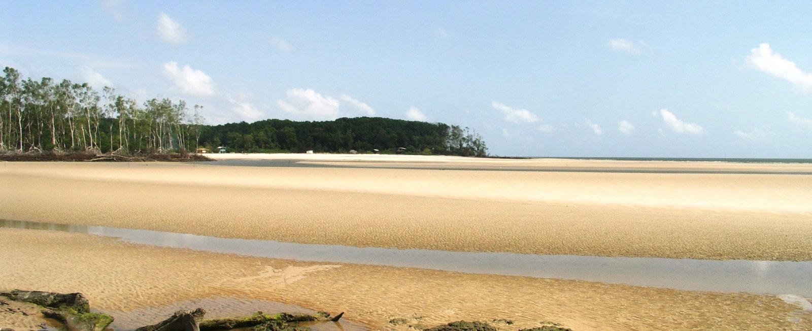 A shot of Marajó island showing how it is on he mouth of the Amazon river.