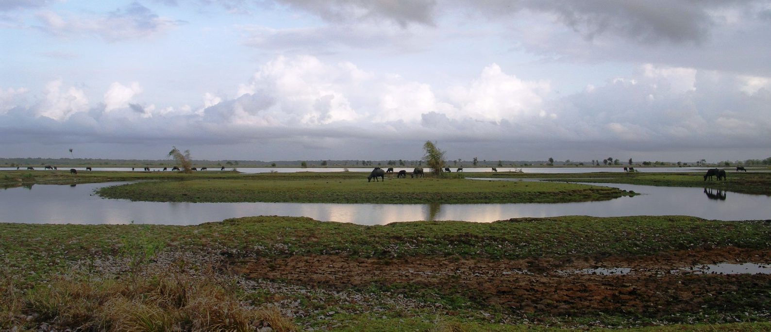 River estuaries on the island of Marajo.