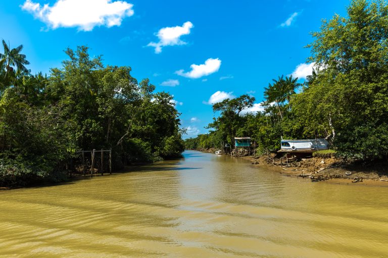 A remote Igarapé in the Amazon rainforest. 