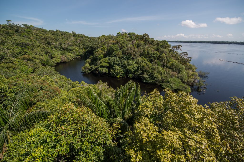 A view from one of the highpoints on the island of Anavilhanas. 