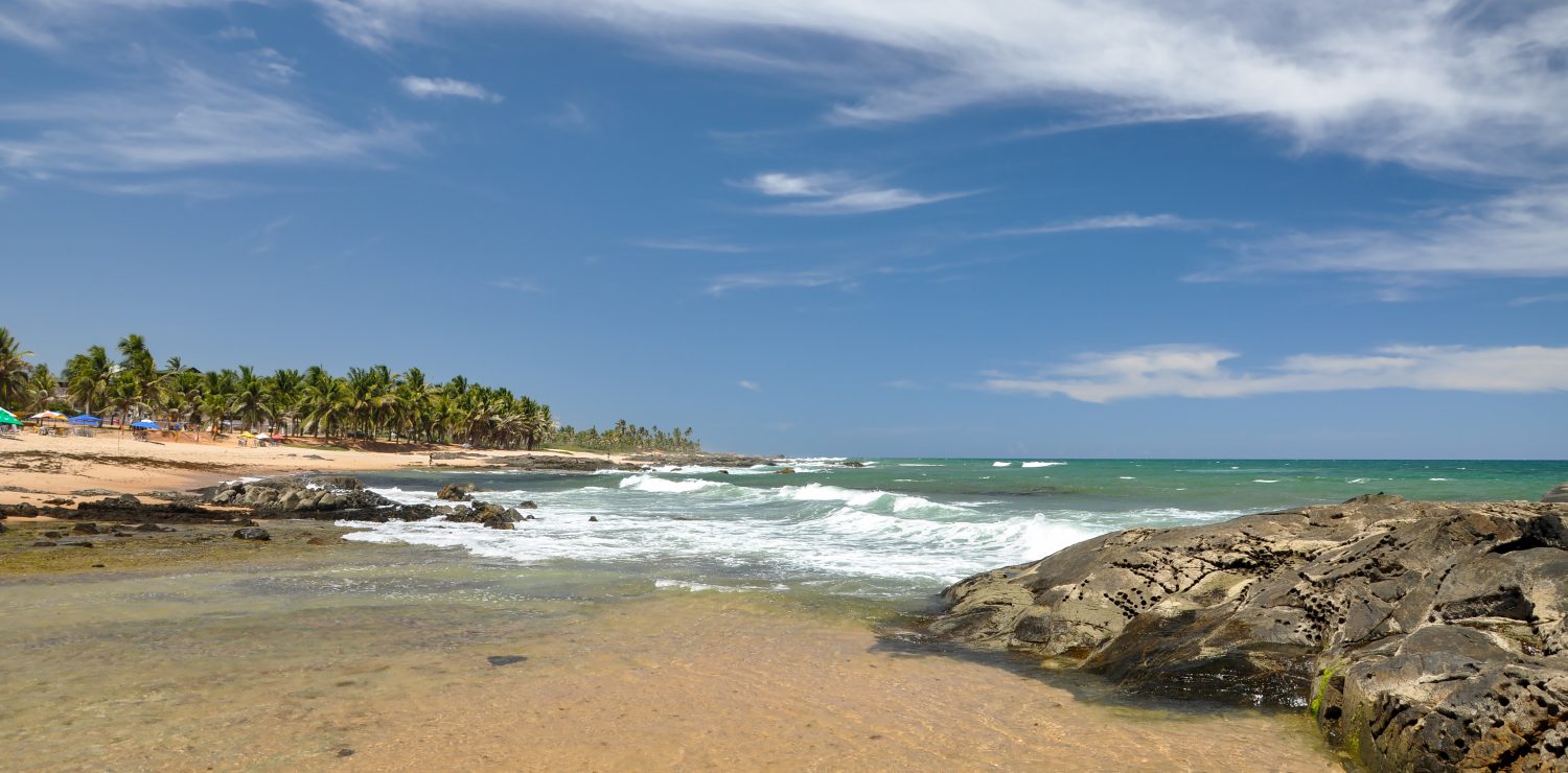 Praia do Forte Tour