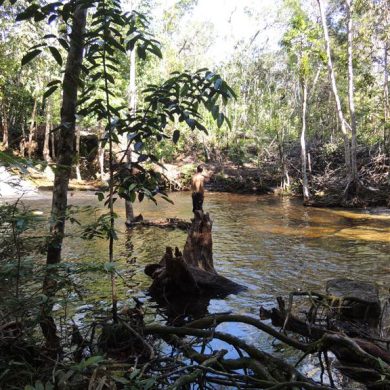 Fishing on the banks of the Amazon river.