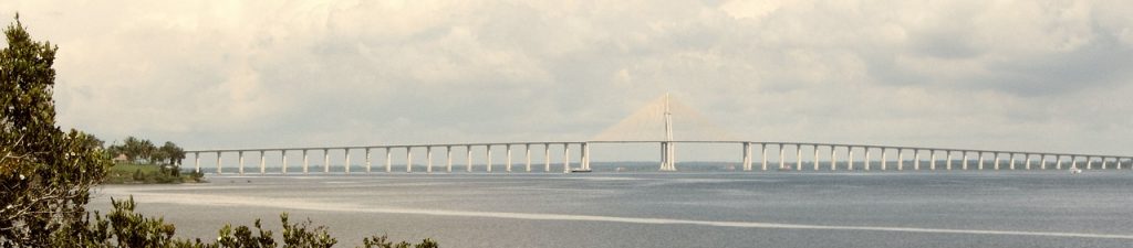 Manaus bridge in the Amazon. 