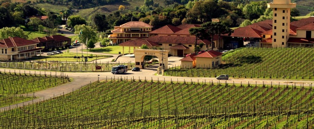 Aerial View of Brazilian vineyard.