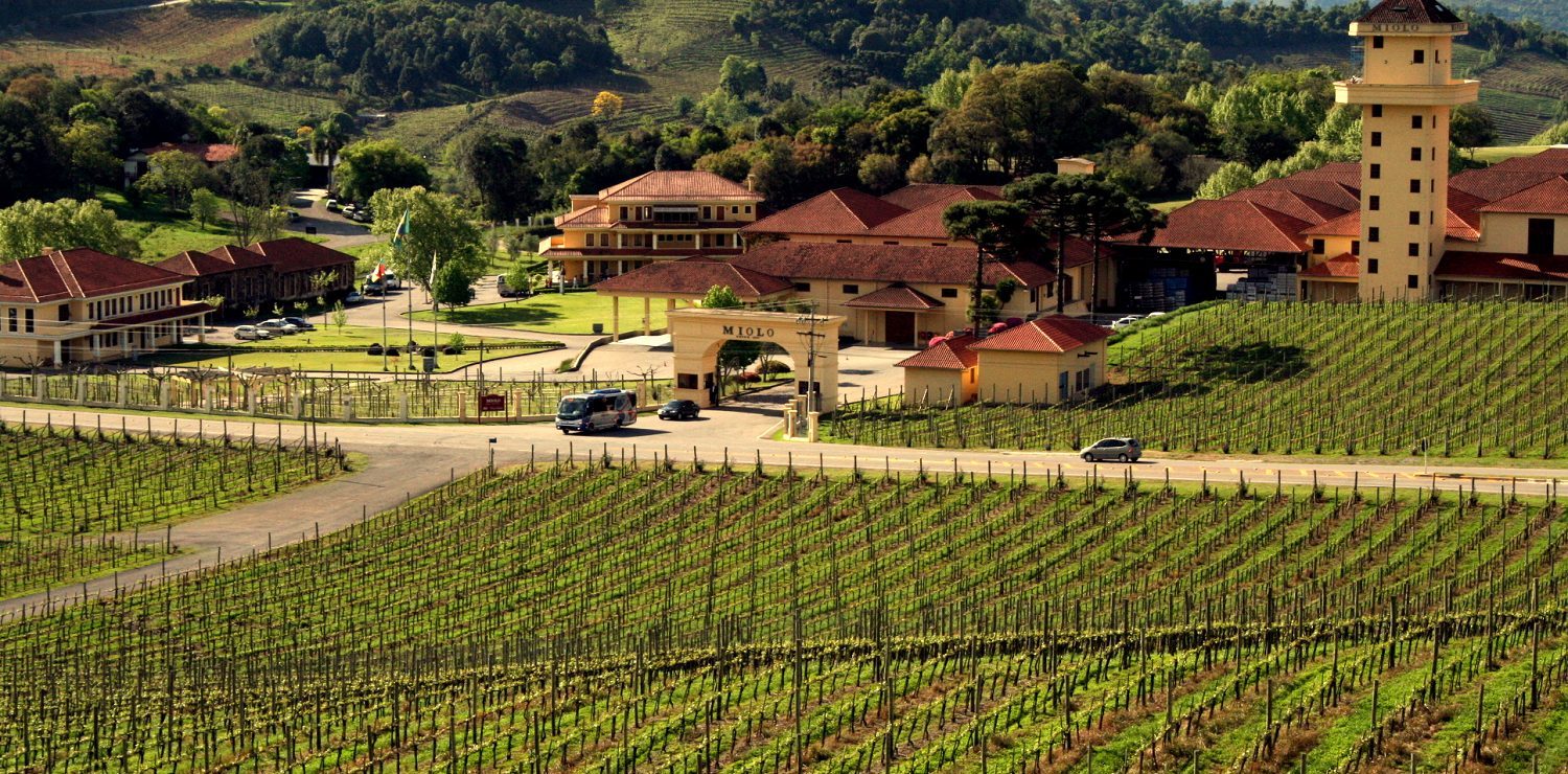 Aerial View of Brazilian vineyard.