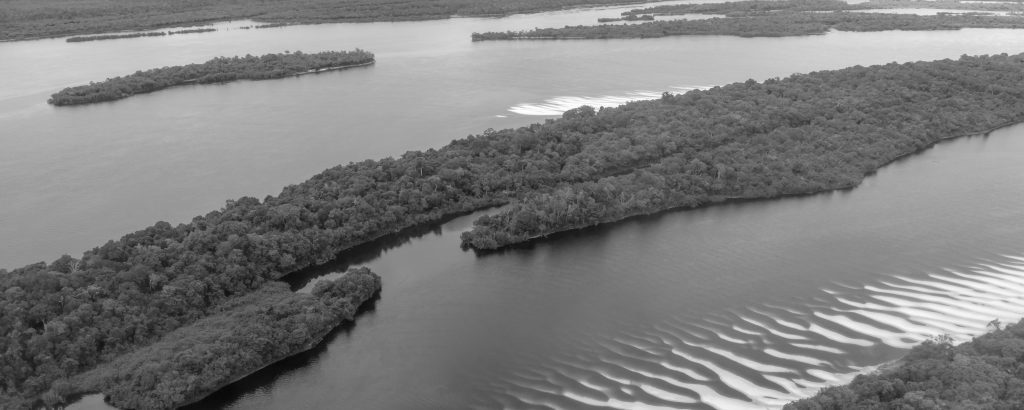 Black and White of Anavilhanas archipelago.