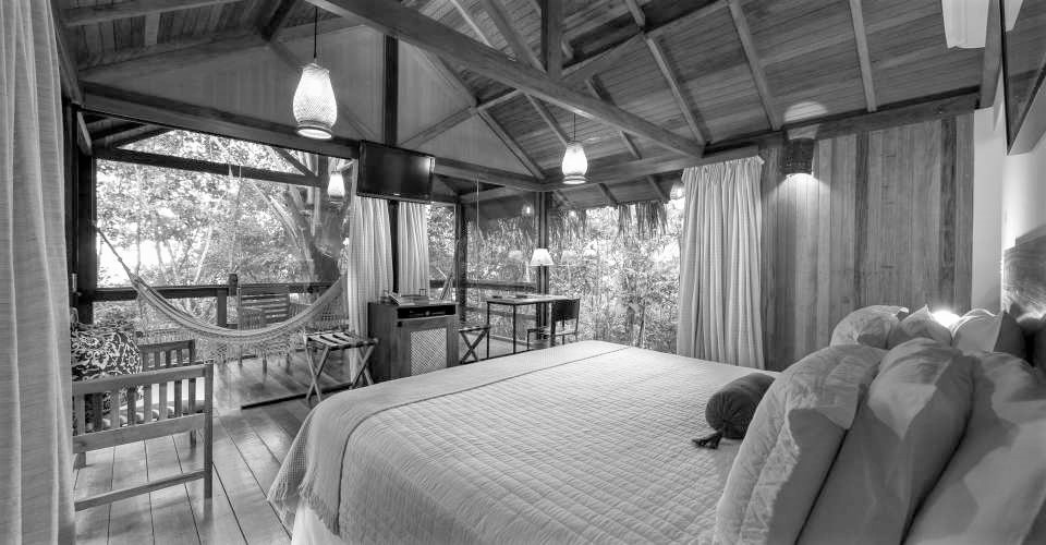 Anavilhanas room in Black and White.
