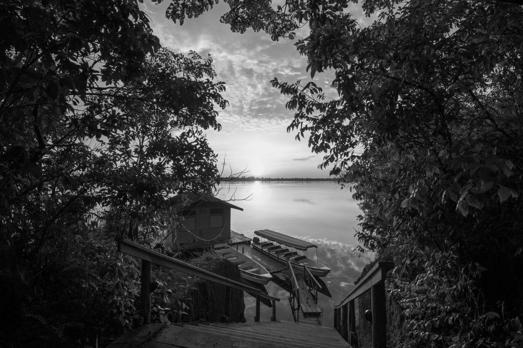 Black and White of Anavilhanas walkway.