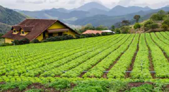 Agricultural farm near Rio de Janeiro.