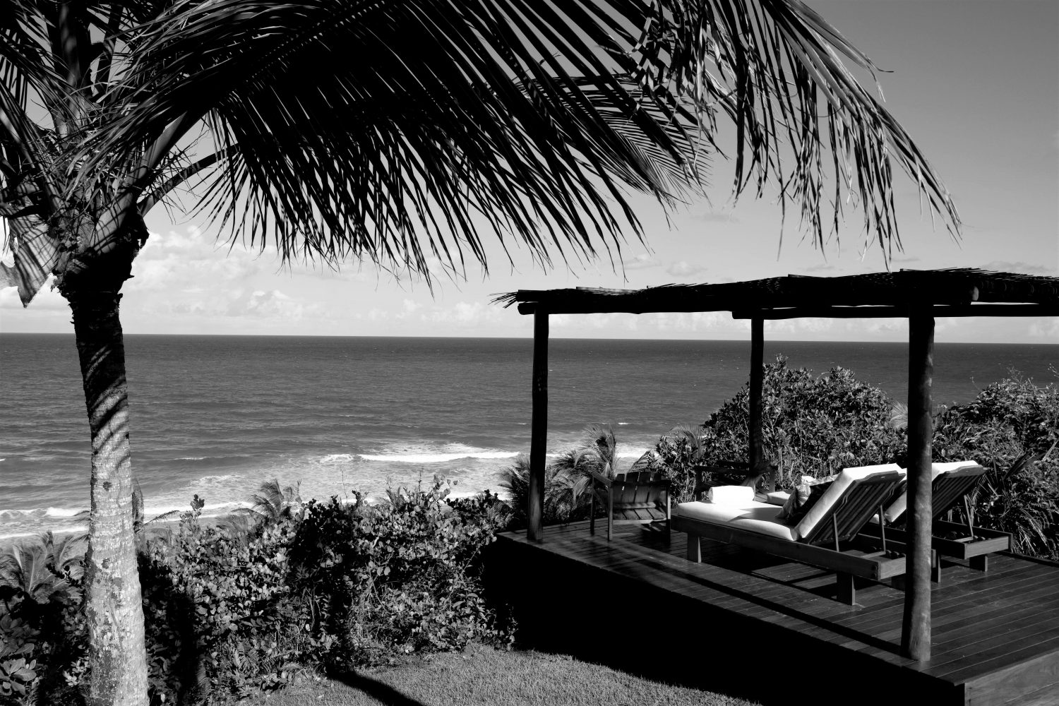 Black and White of Txai outdoors.
