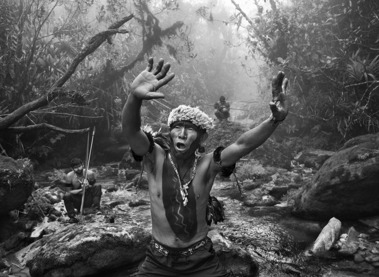 About deforestation - photography of Sebastiao Salgado