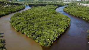 The meeting of the water in Amazon Brazil 