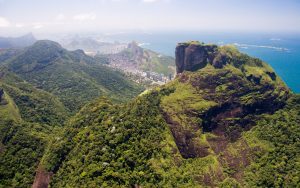 The national park of Tijuca in Brazil