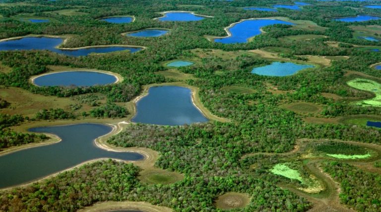 Pantanal national park in Brazil 