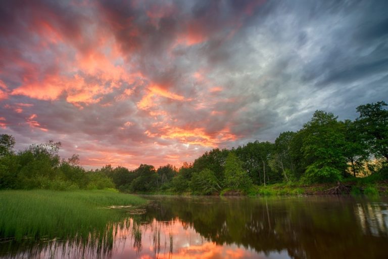 Pantanal Natural Park