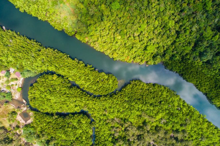 A sky view of the Rio Negro 