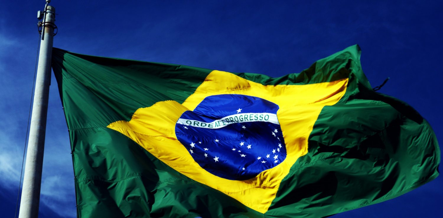 The brasilian flag