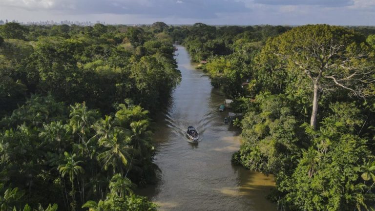 The Rio Negro of the Amazon rainforest 