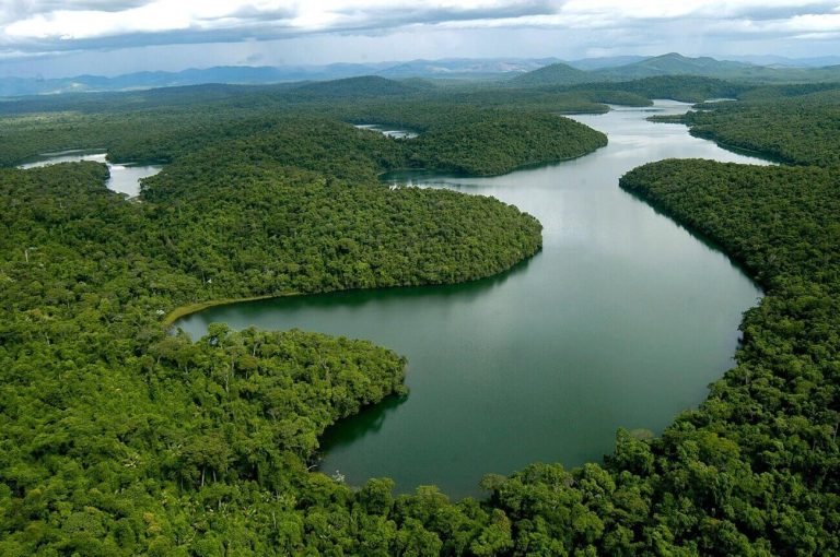 The Atlantic forest in Brazil 