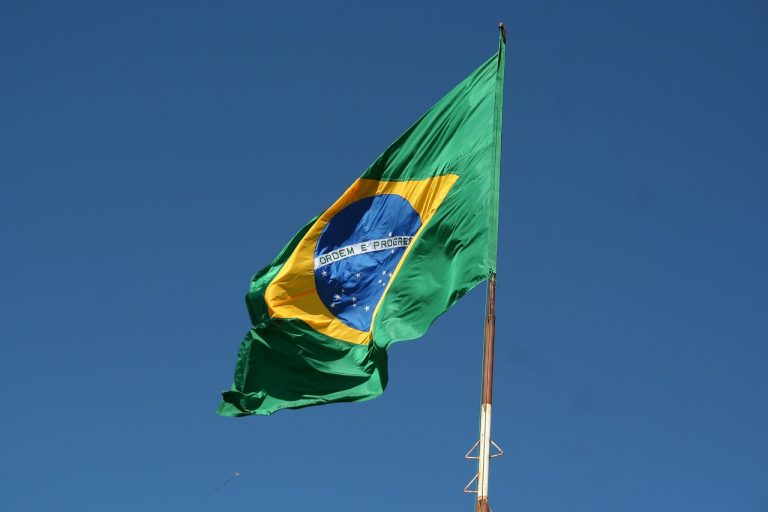 The brasilian flag 