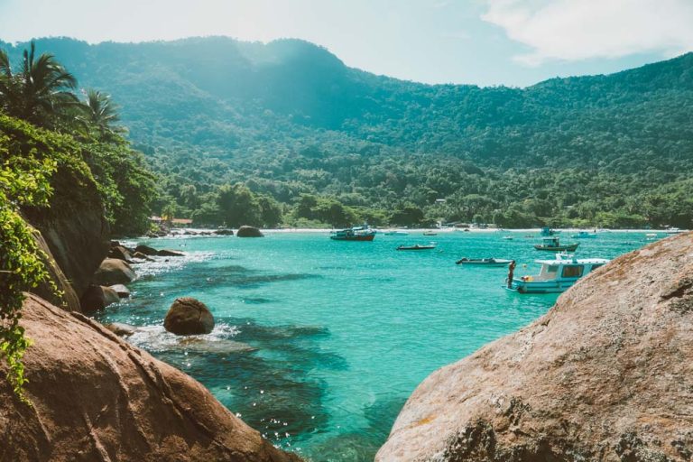 The green coast of Brazil