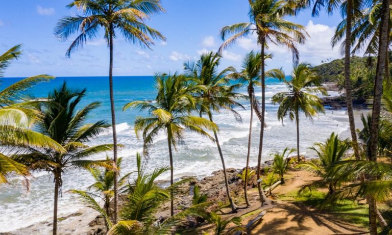 A beach of Itacare in the region of Bahia Brazil