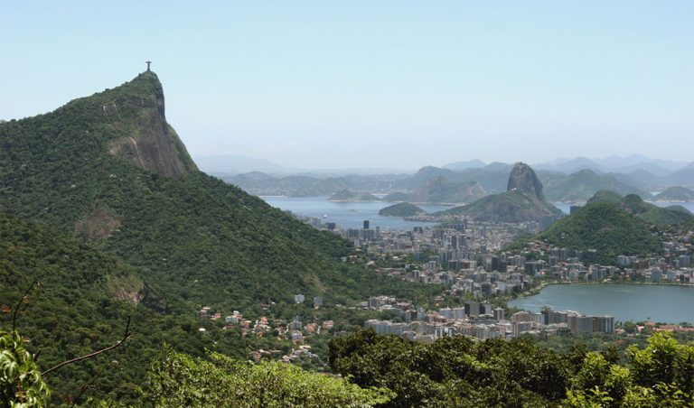 The forest around Rio de Janeiro 